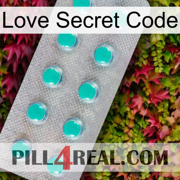 Love Secret Code 28.jpg